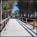 Bibione2021019.jpg