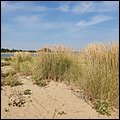 Bibione2021068.jpg