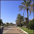 Civitavecchia2016004.jpg