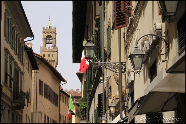 Florenz14009.jpg