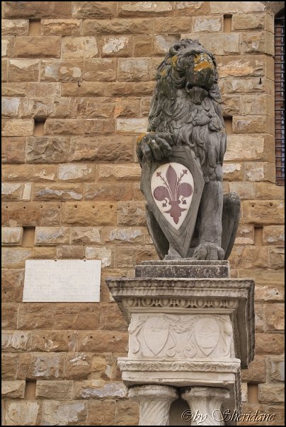 Florenz14014.jpg