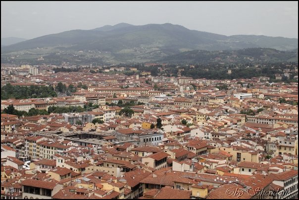 Florenz14039.jpg