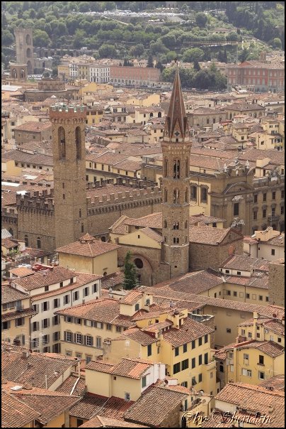 Florenz14046.jpg