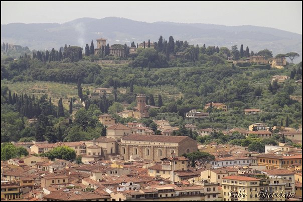 Florenz14047.jpg