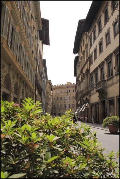 Florenz14054.jpg