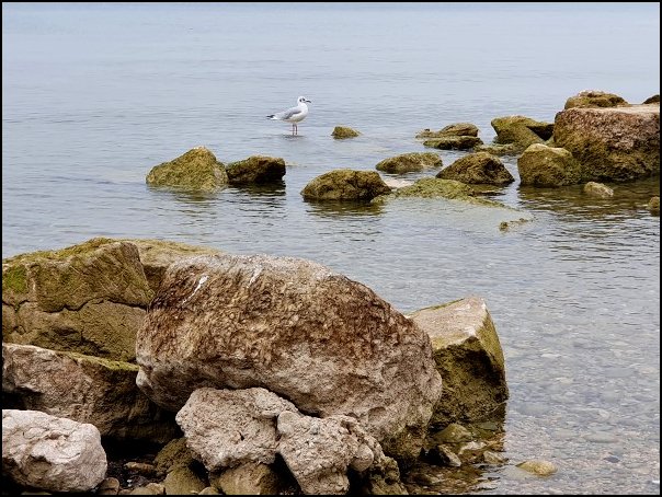 Lazise2021013.jpg