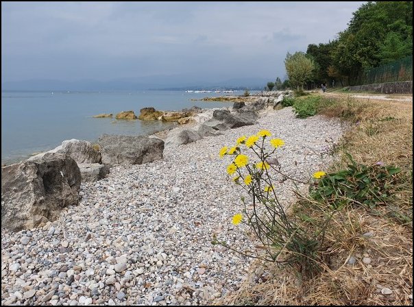Lazise2021017.jpg