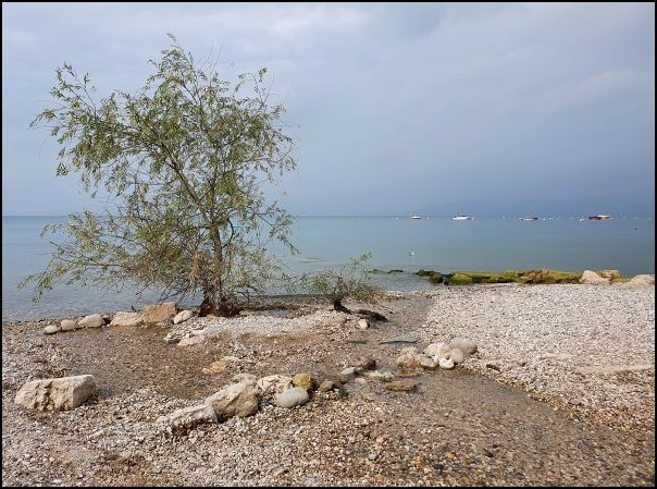 Lazise2021018.jpg