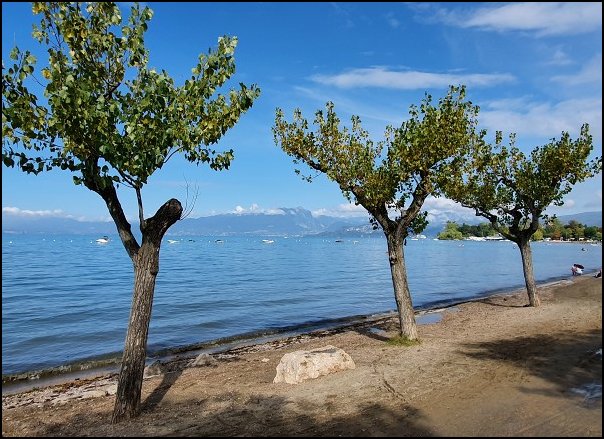 Lazise2021028.jpg