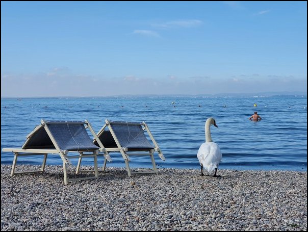 Lazise2021029.jpg