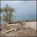 Lazise2021018.jpg