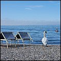 Lazise2021029.jpg