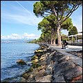 Lazise2021052.jpg