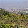 Neapel14008.jpg
