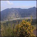 Neapel14019.jpg