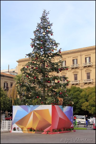 Palermo13003.jpg