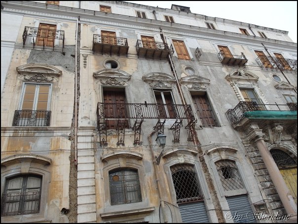 Palermo13012.jpg