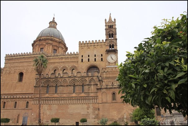 Palermo13013.jpg
