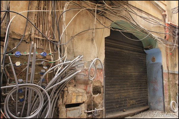 Palermo13019.jpg