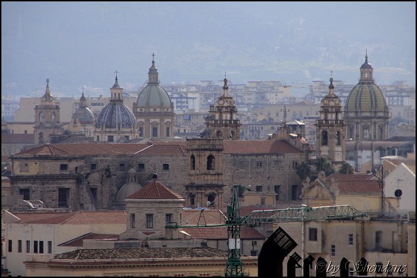 Palermo13021.jpg