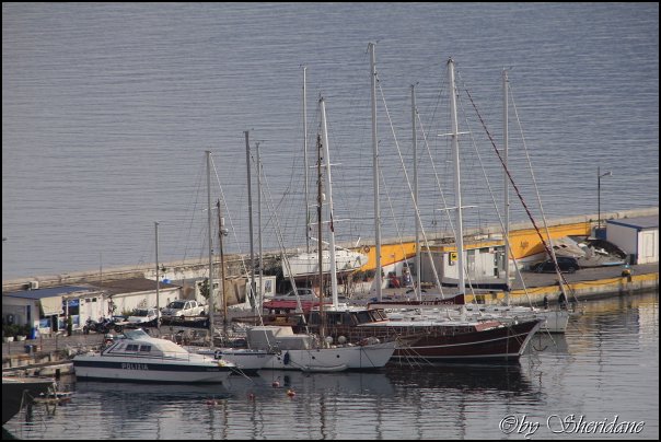 Palermo13022.jpg