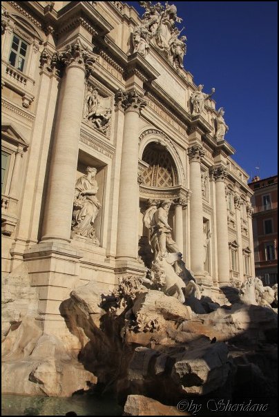 Rom13019.jpg
