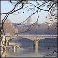 Rom13010.jpg