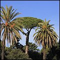 Rom13028.jpg