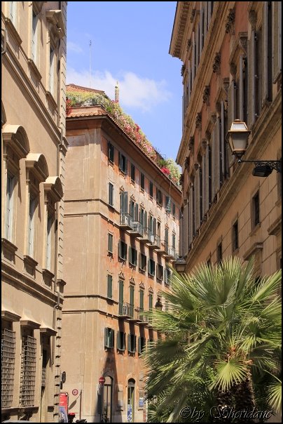 Rom14016.jpg