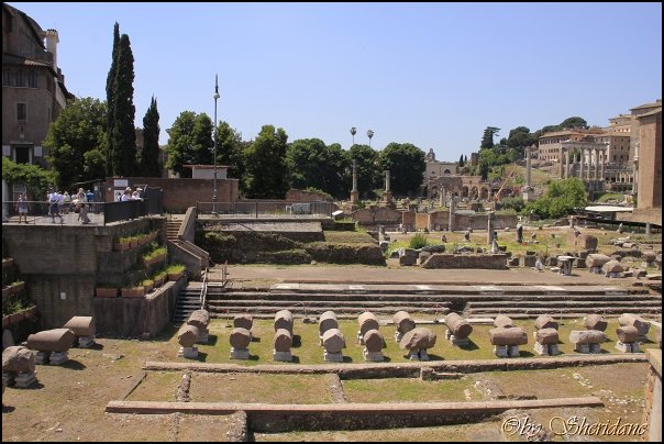 Rom14031.jpg