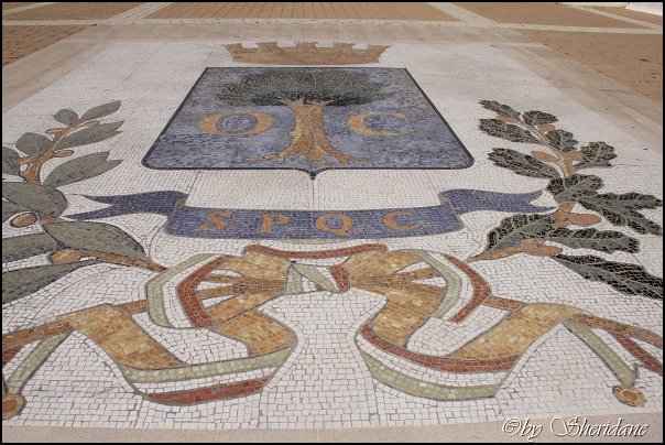 Rom14046.jpg