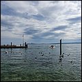 Gardasee0721034.jpg