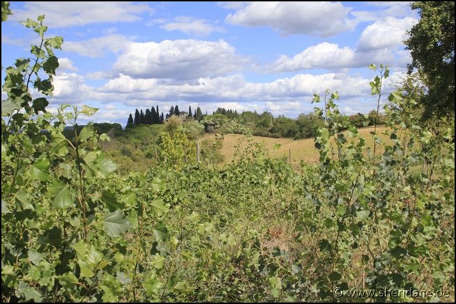 Toskana17010.jpg