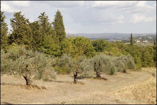 Toskana17044.jpg