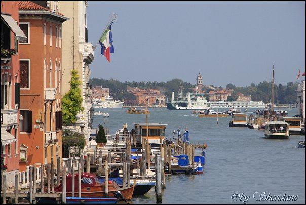 Venedig17_2012.jpg