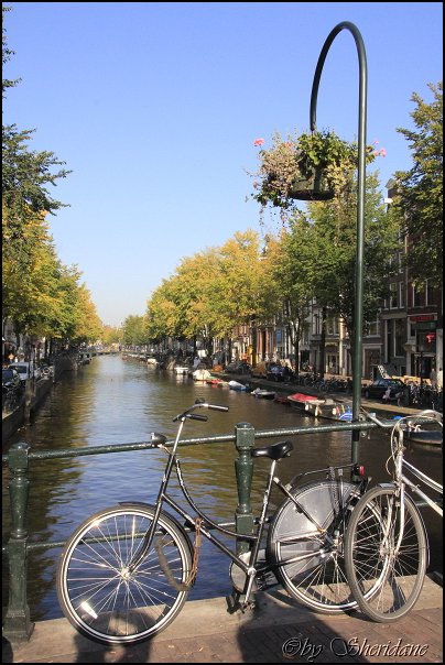 Amsterdam013_2012.jpg