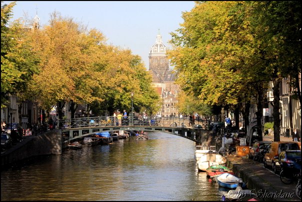 Amsterdam014_2012.jpg