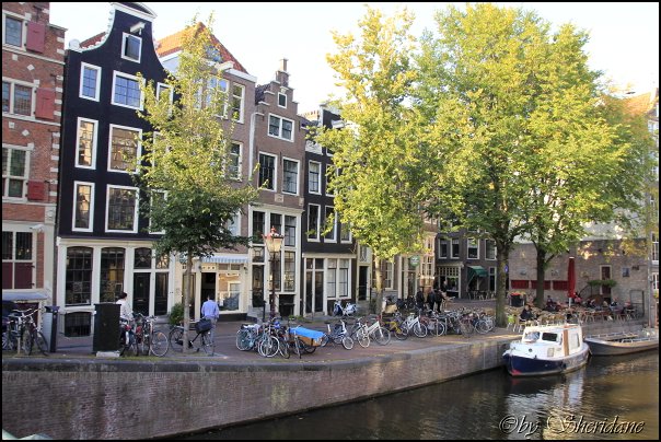 Amsterdam026_2012.jpg