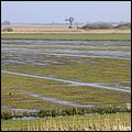 Vista060.jpg