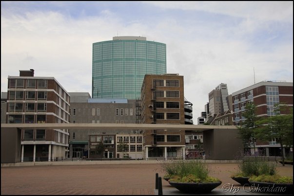 Rotterdam005.jpg