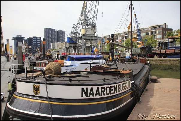 Rotterdam012.jpg