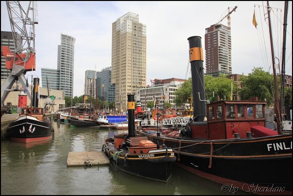 Rotterdam014.jpg