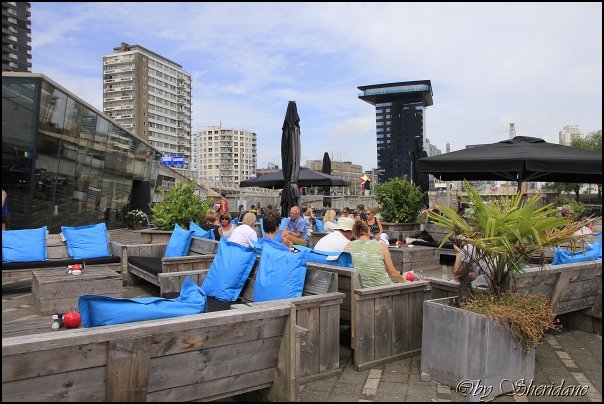 Rotterdam015.jpg