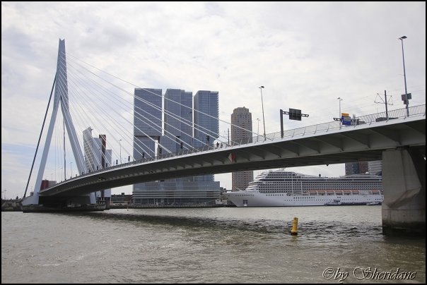 Rotterdam016.jpg
