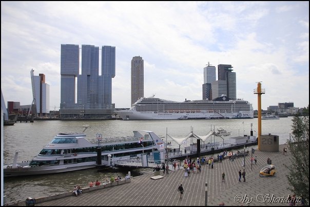 Rotterdam017.jpg