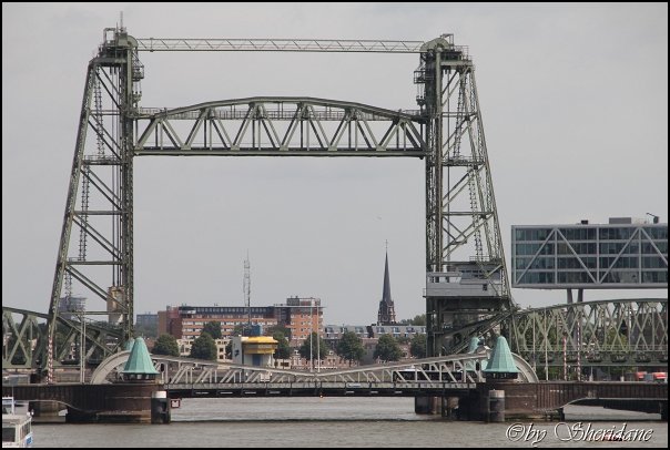 Rotterdam018.jpg