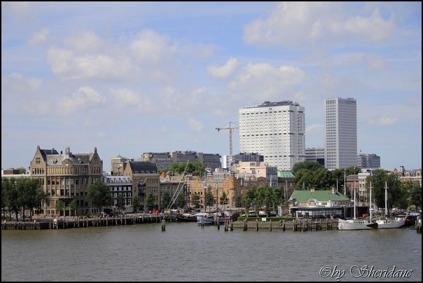 Rotterdam019.jpg