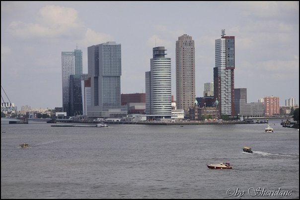 Rotterdam020.jpg