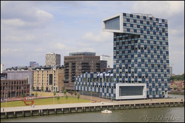 Rotterdam021.jpg