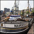 Rotterdam012.jpg